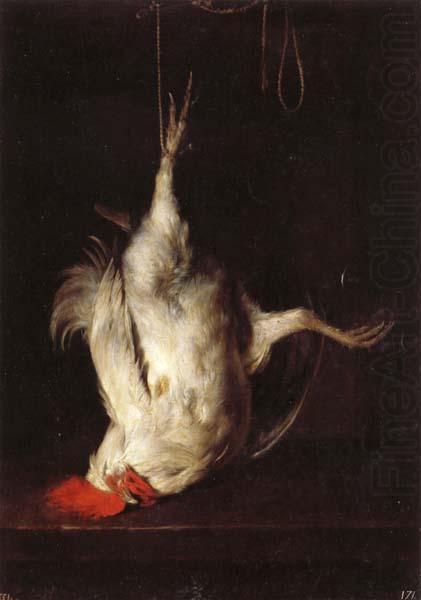 Dead Cock, Gabriel Metsu